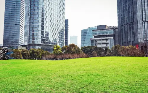 landscape-green-lawn
